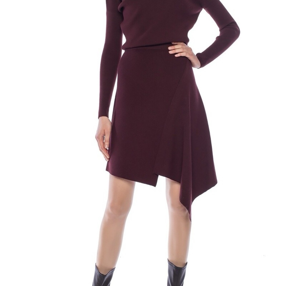All Saints Asymmetrical Burgundy Dress